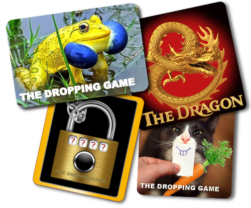 prijs voor een Rib Experience in Antwerpen